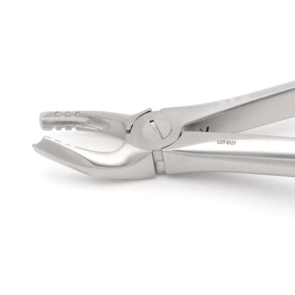 #17 Gentle Line Extraction Forceps — Dental Instruments by EQUIPES Instruments