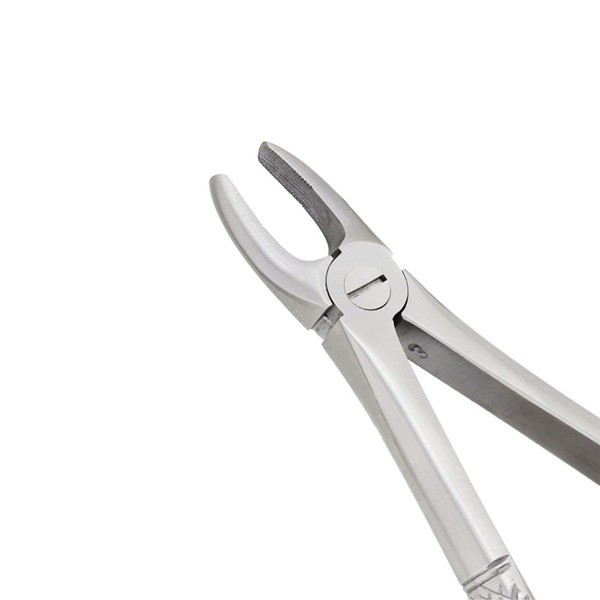 Dental Extracting Forceps-Upper Incisors Fig 2 — Dental Instruments by EQUIPES Instruments