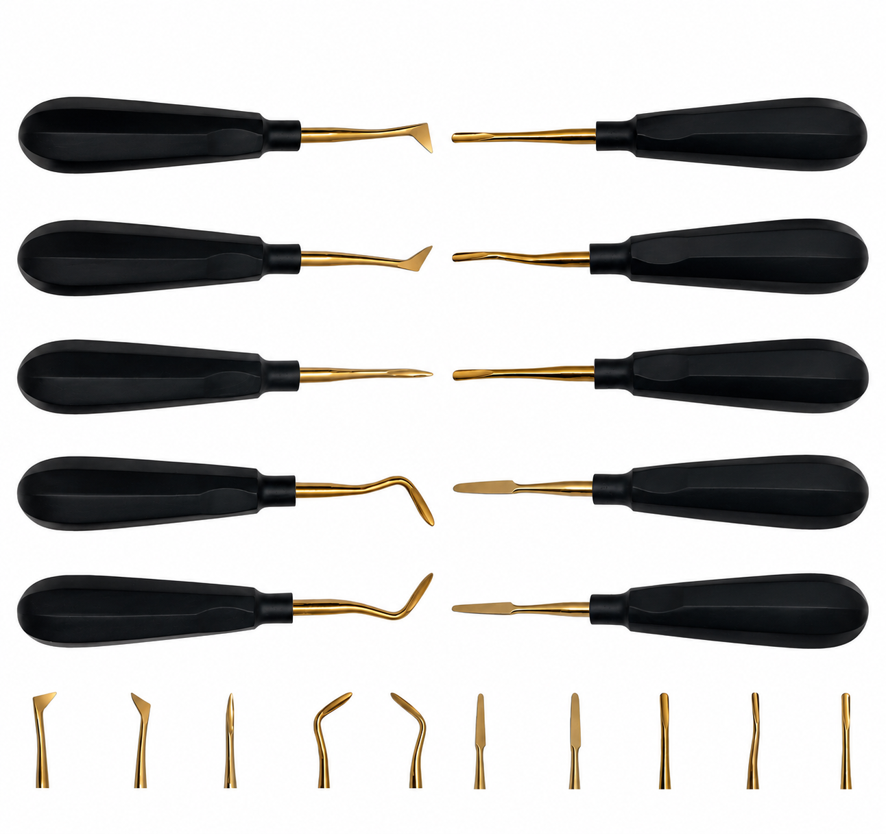 Dental Root Extraction Elevators Set of 10 Black Handle Gold Tip - Black & Gold Luxating Elevator Set — Dental Instruments by EQUIPES Instruments
